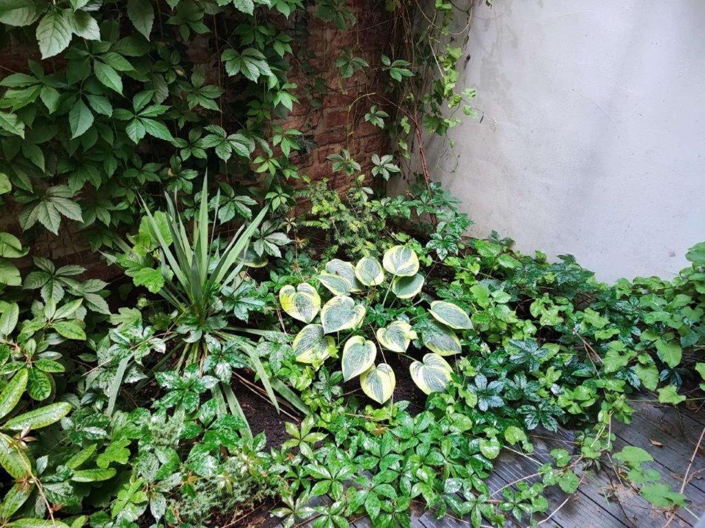 Central Vienna Apartment With Unique 40M2 City Garden & Self Check In Zewnętrze zdjęcie